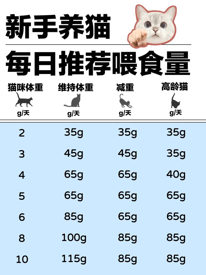 猫咪一天吃多少猫粮