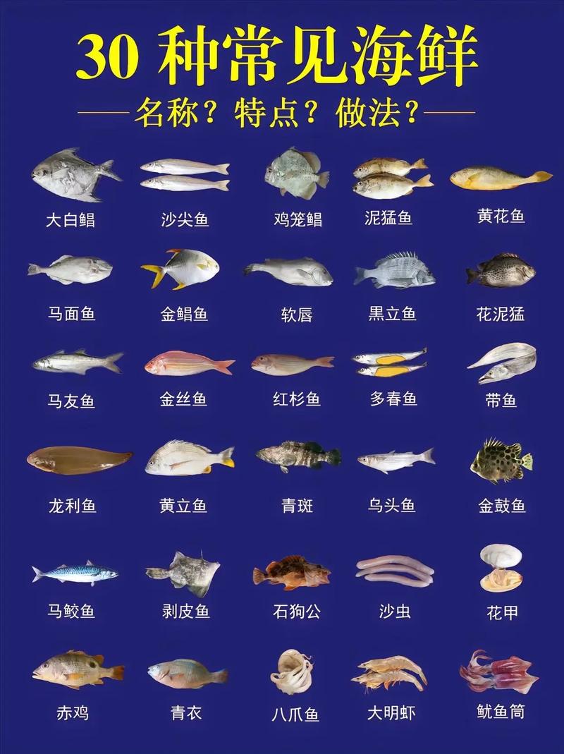 100种常见淡水鱼类名称图片