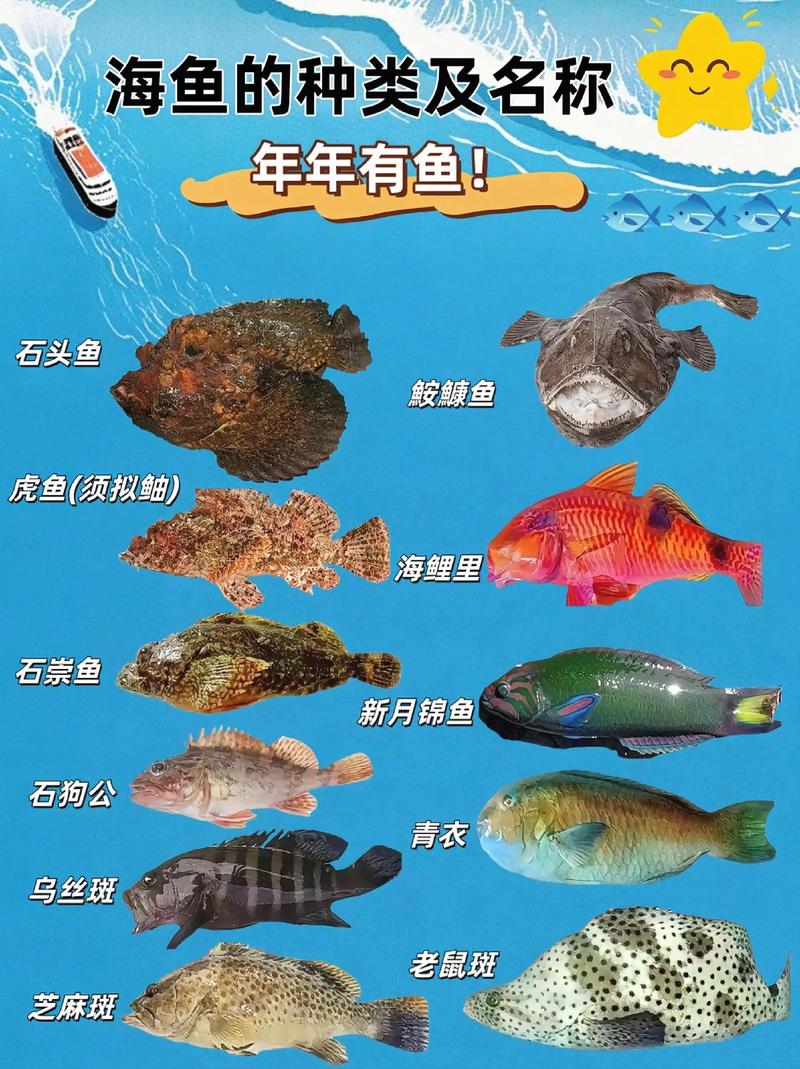 海洋馆100种动物名字有哪些?