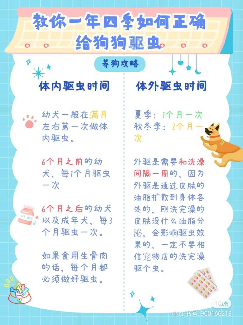 猫猫多久打一次预防针最佳?还有打虫?
