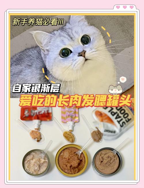 家猫吃什么食物能长肉,吃什么让猫咪长胖