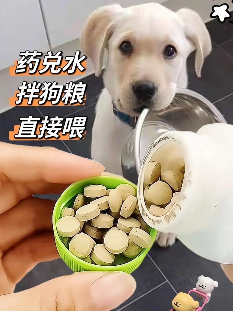为什么狗狗老是干呕咳嗽