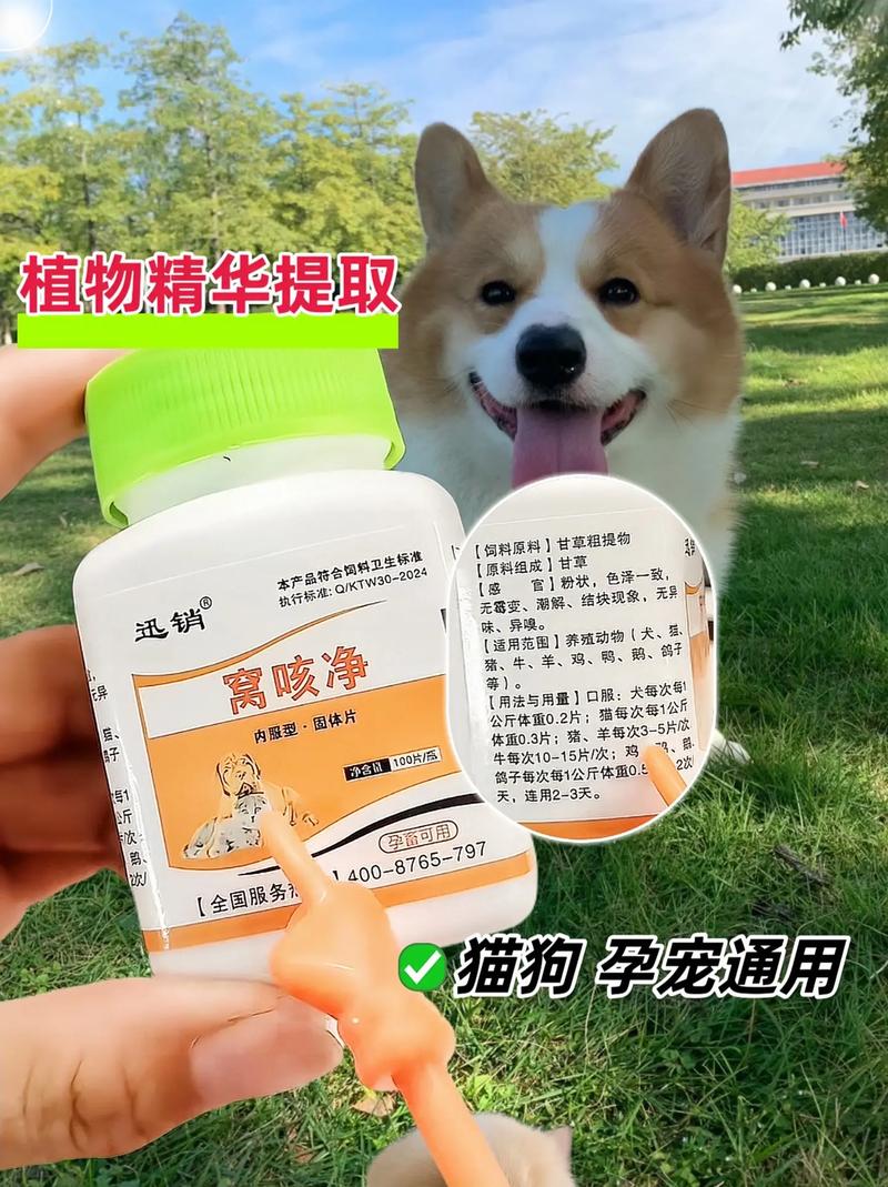 狗狗干咳干呕吃什么药比较好
