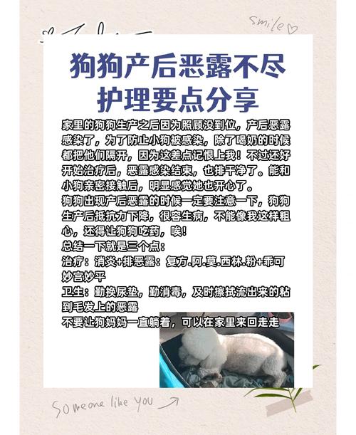 狗狗吃了香椿后怎么办