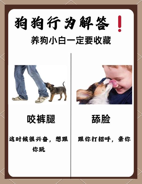 小狗可以吃香椿嘛