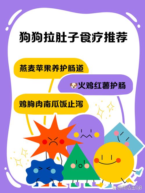 狗狗拉肚子,还吐,该给他吃什么?