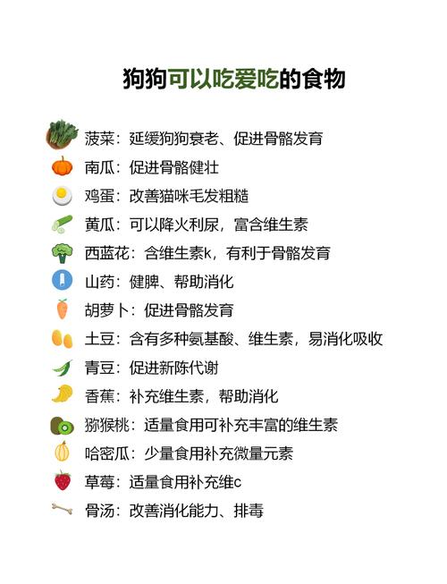狗狗拉肚子吃什么药最有效