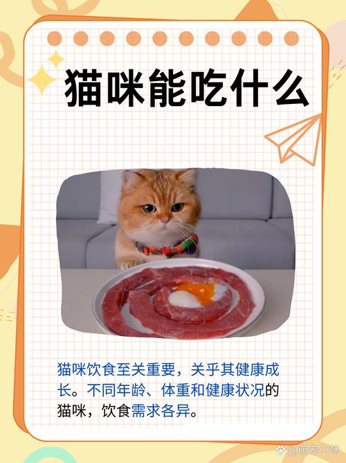 小猫咪吃什么才能健康长胖?