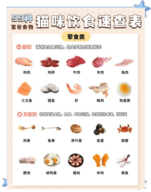 小猫吃什么长得胖