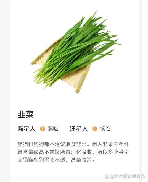 狗狗和猫咪能吃熟韭菜吗?