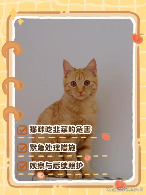 猫咪吃了韭菜怎么办