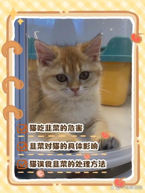 猫咪吃了一点韭菜没事吧?