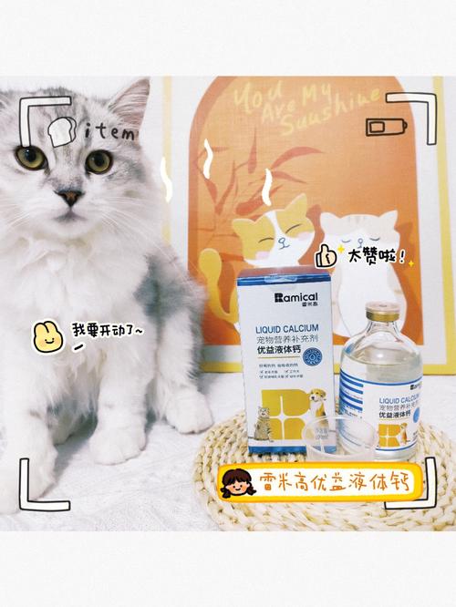 猫咪可以喝糖水吗