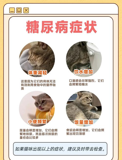 猫咪中毒为什么要喂糖水