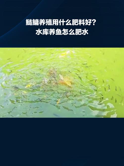水库养鱼肥水用什么比较好
