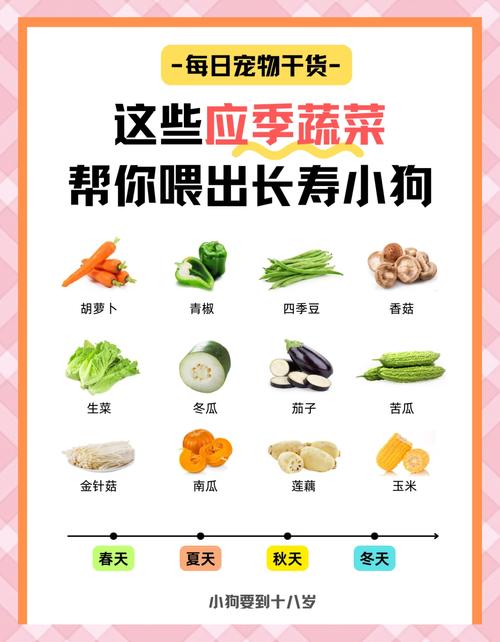 狗狗喜欢吃什么样的食物?