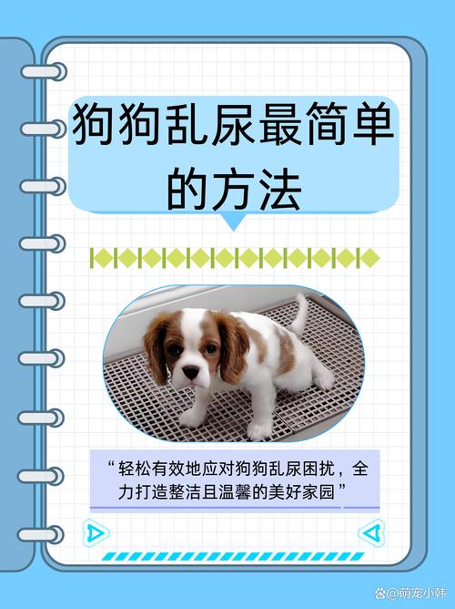 如何防止狗到处乱尿