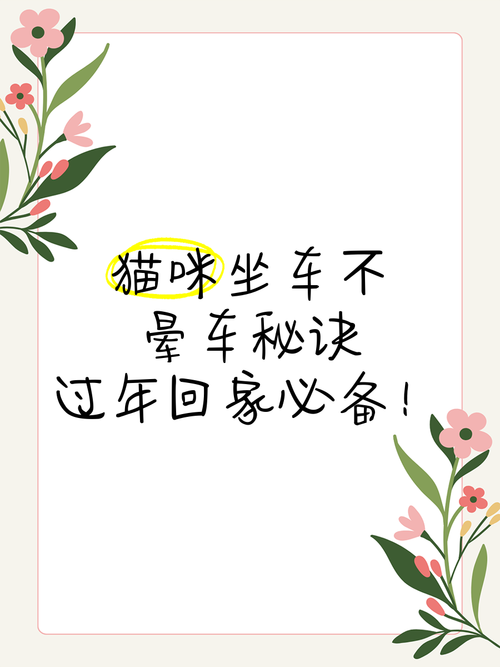 没有车怎么把猫带回老家