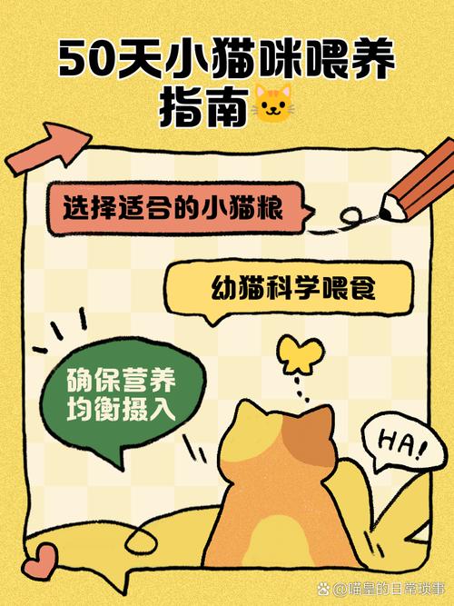50多天小猫喂养方法50天小猫吃什么