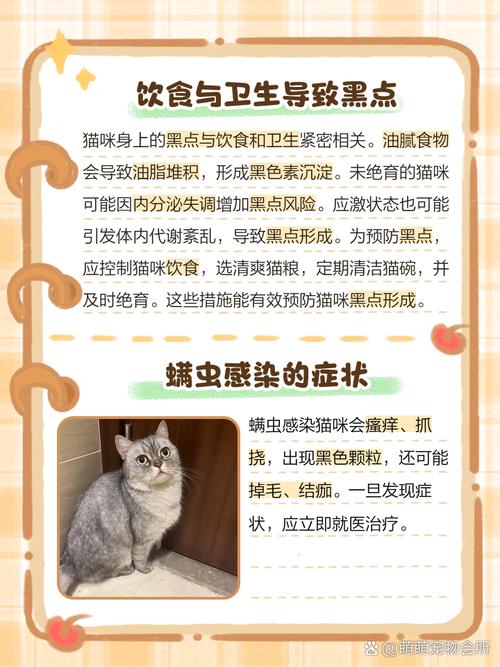 猫咪为什么全身都是黑点点
