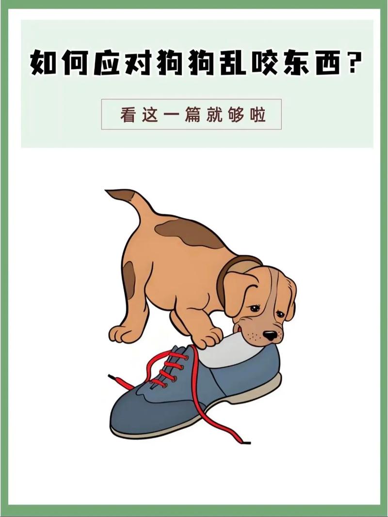 如何让狗狗不乱咬东西？怎样让狗狗不乱咬东西？