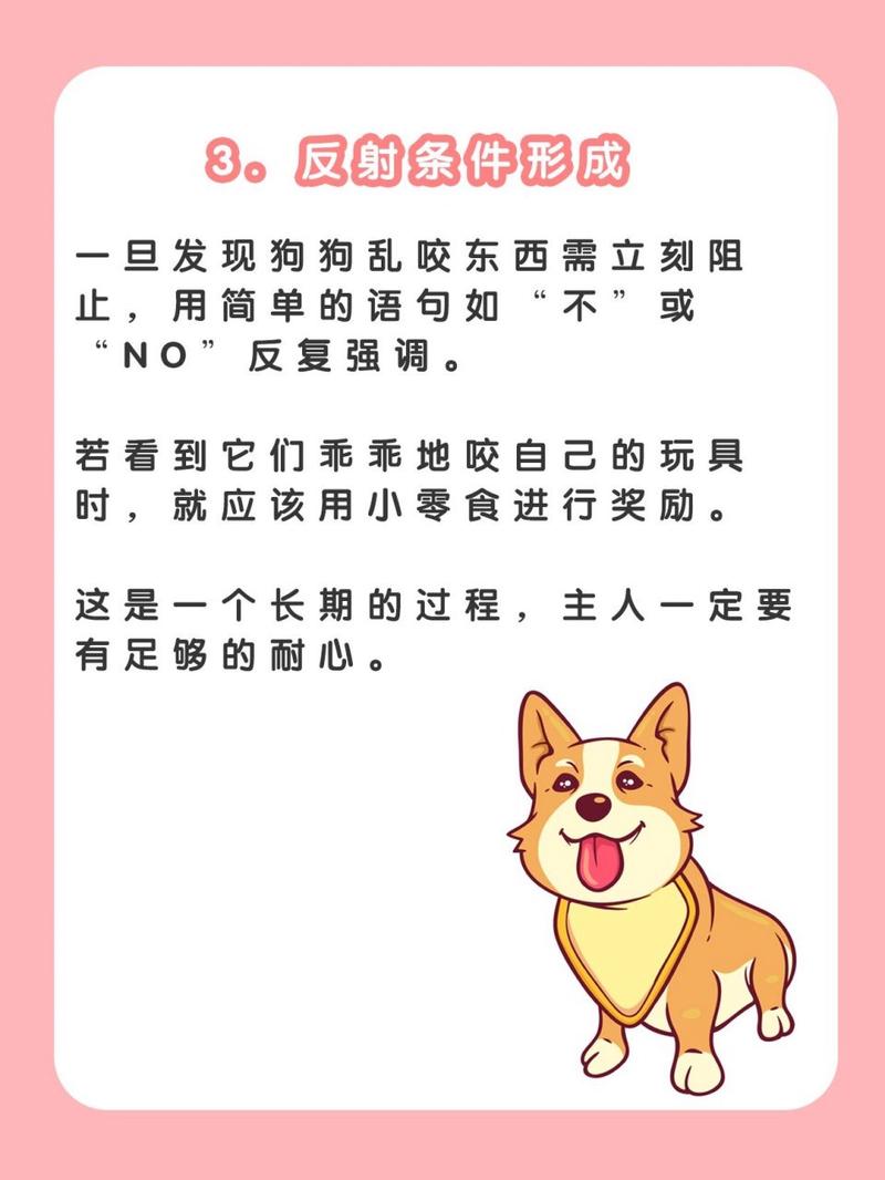 如何阻止狗狗乱咬东西?