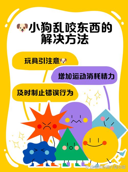 狗狗拆家乱咬东西怎么办?
