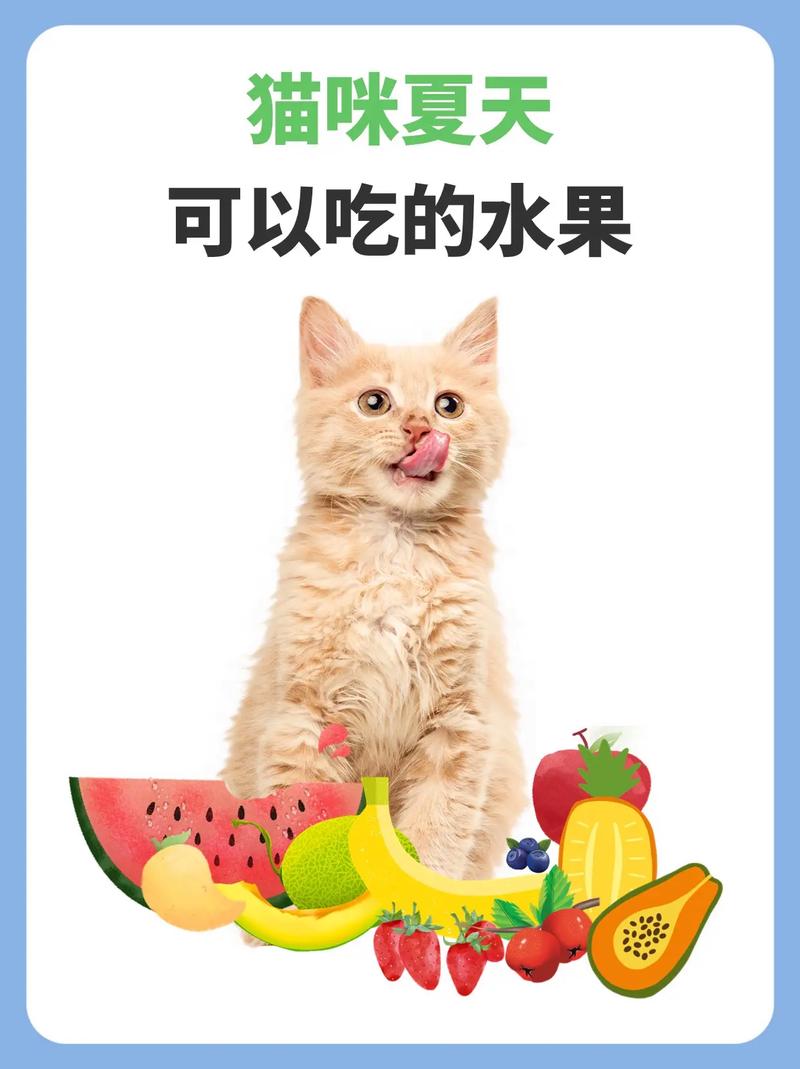 猫咪最爱吃的十种水果