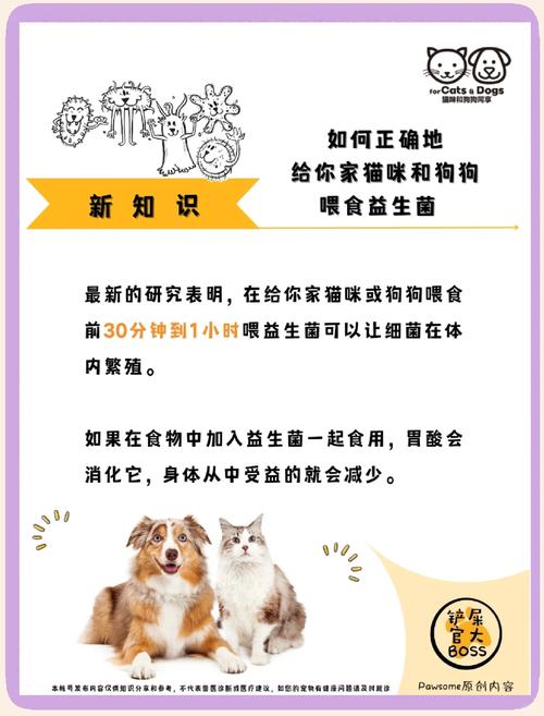 益生菌怎样给狗狗服用，狗益生菌怎么吃？