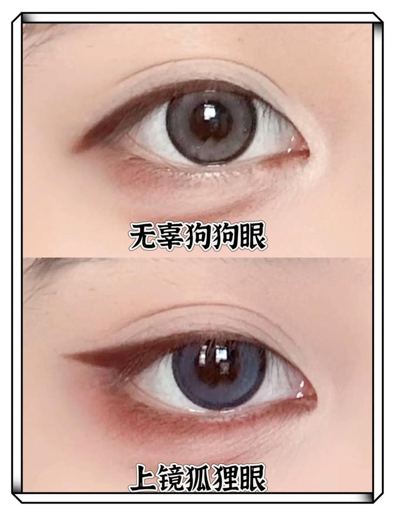 狗狗眼是什么眼型