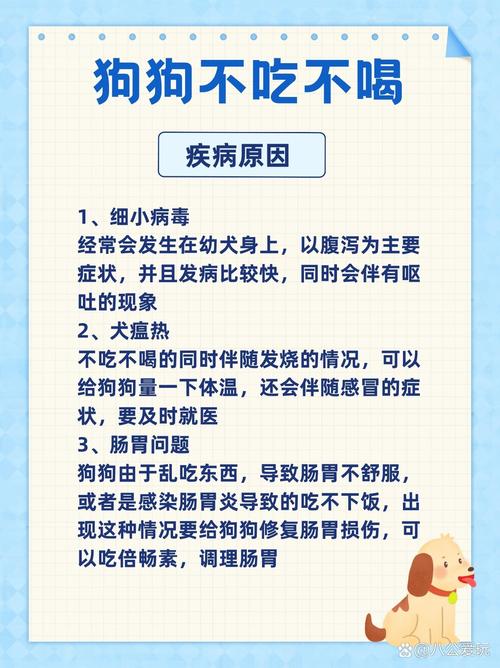 狗狗只喝水不吃饭是什么原因?