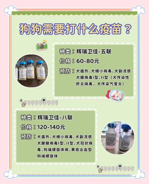 狗狗需要打哪些疫苗新到家的狗狗这些疫苗必须打