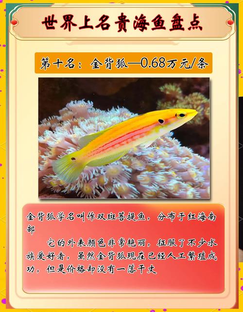 世界前十
名贵海鱼排名,蓝鳍金枪鱼排第一