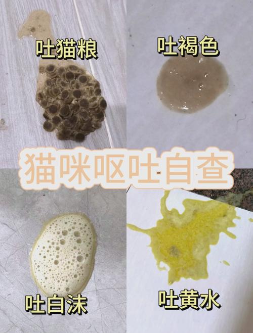 猫干呕一抽一抽的吐白沫