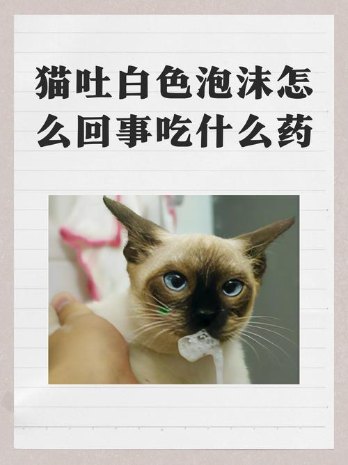 猫咪吐白沫是怎么回事