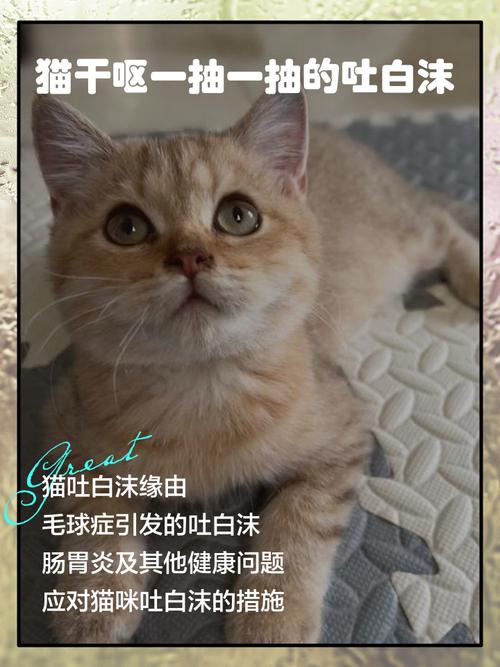 猫咪吐白沫但精神正常是怎么回事?