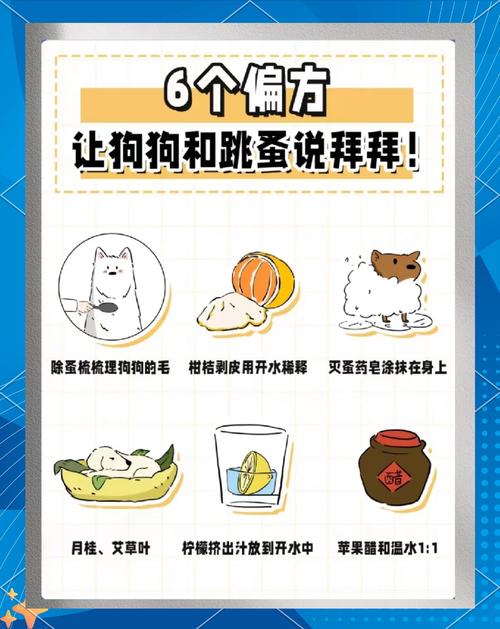 狗狗防跳蚤什么最有效，狗狗防跳蚤圈有用吗