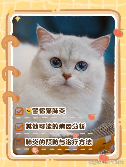 家里猫咪叫声沙哑还大量掉毛该怎么办?