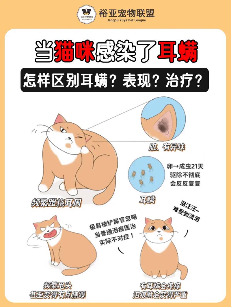猫咪有耳螨的症状？猫咪有耳螨是什么反应？