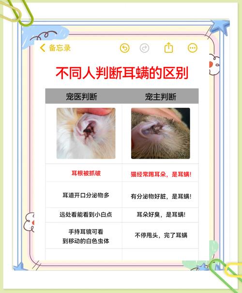 猫咪得了耳螨的表现有哪些