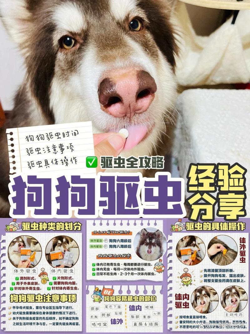 小狗多少天驱虫比较好
