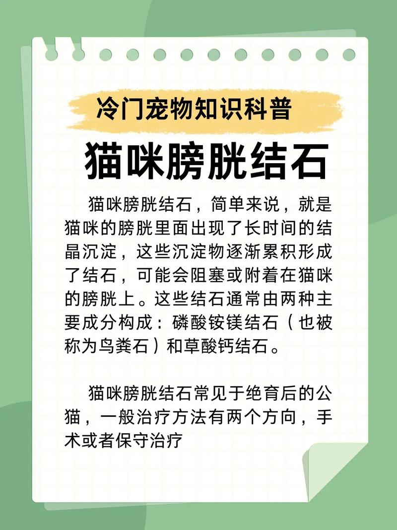 猫得尿结石什么原因引起的呢