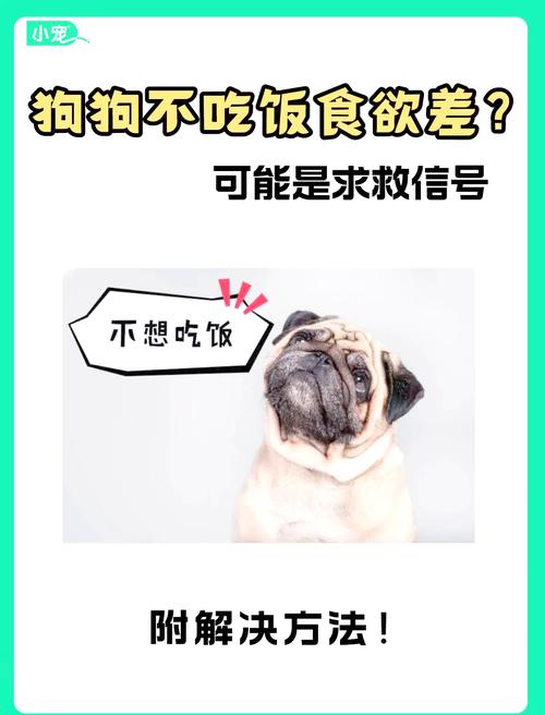 狗狗溜很久都不拉屎怎么办?
