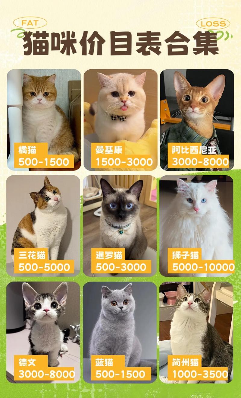 我想养一只中华田园猫,那种猫价钱如何,怎样挑?