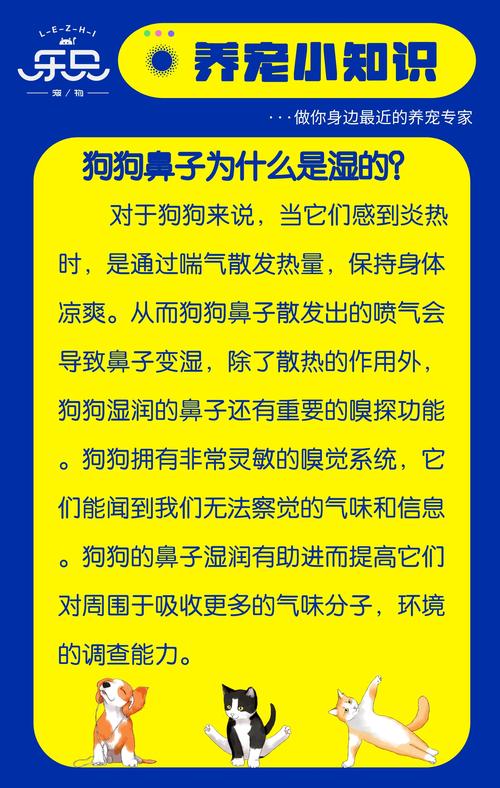 狗狗鼻子发热但还是湿的是怎么回事啊?