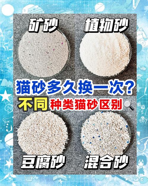 幼猫猫砂多久换一次，幼猫猫砂用量？