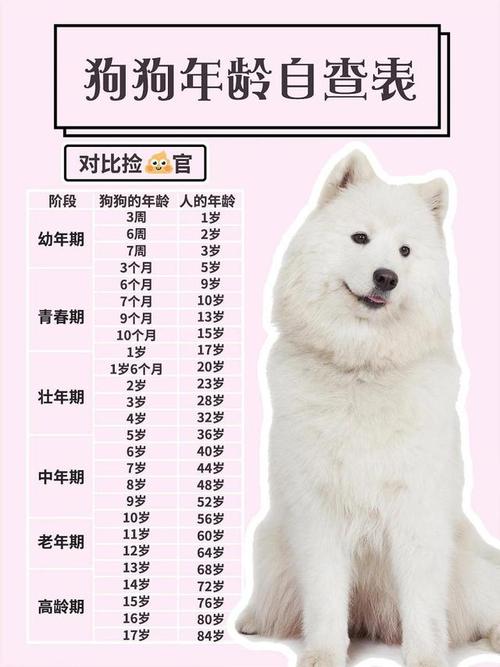 狗狗一岁相当于人类7岁,这个说法有什么科学依据?