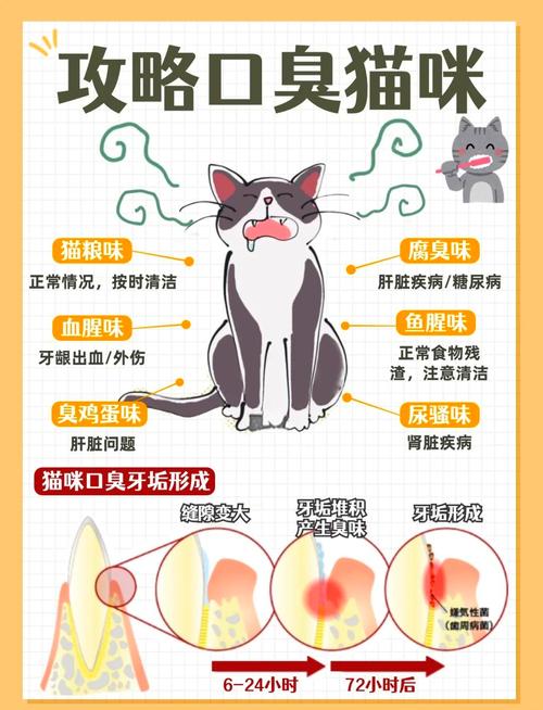 猫咪嘴臭怎么办？狗狗有口臭怎么办解决？