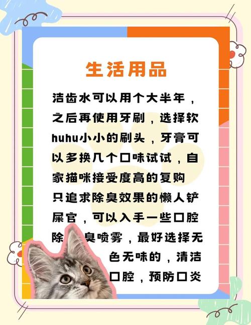 猫嘴臭怎么办
