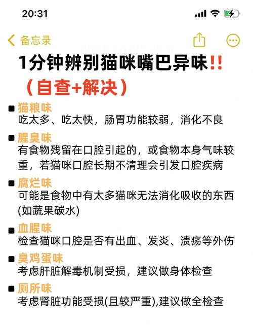 猫咪嘴巴很臭怎么办